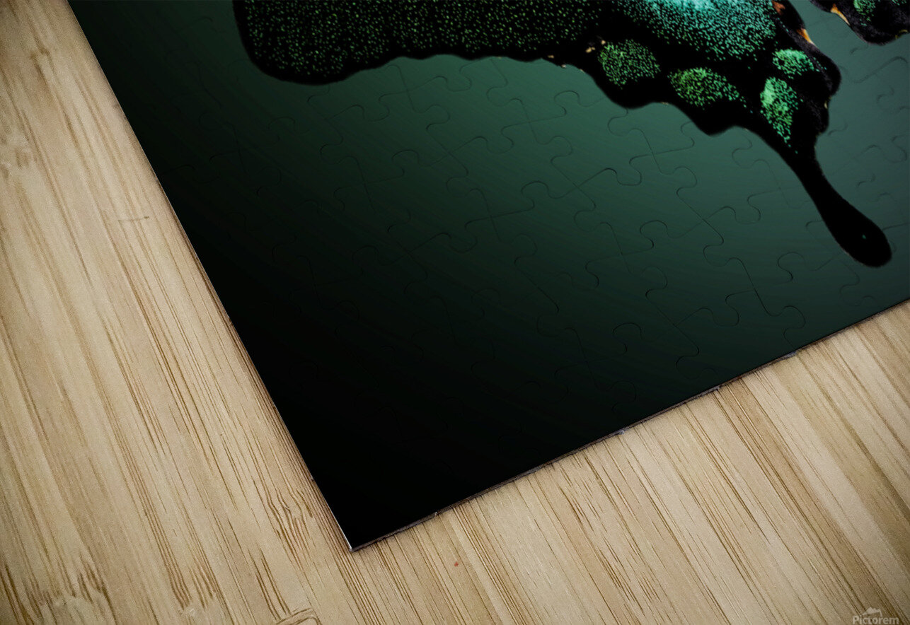 Emerald Beauty B Zolle Puzzle