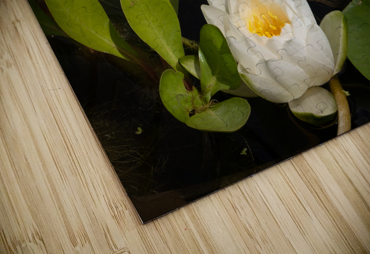 In Remembrance of Summer Norma Brandsberg Photography Puzzle