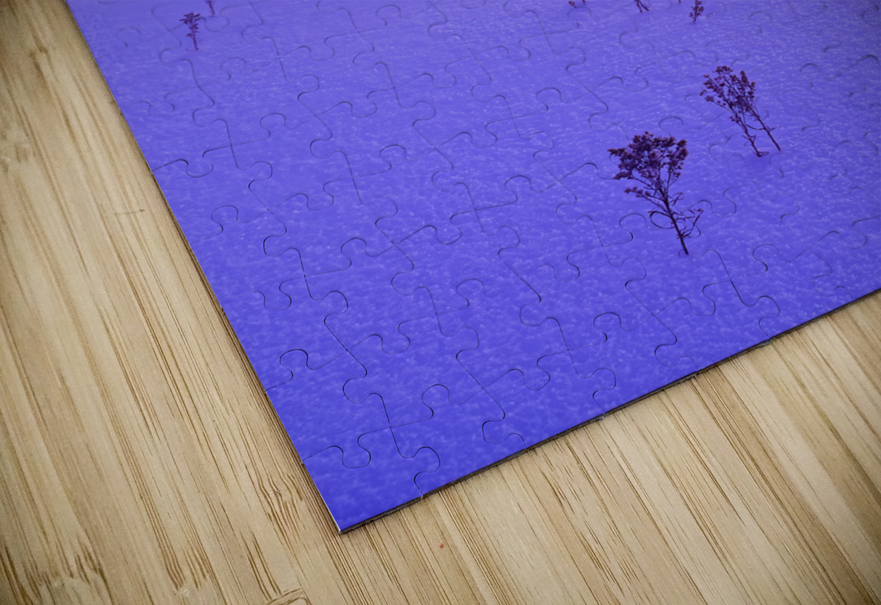 Winter Morning Dave Reede Photohgraphy Puzzle