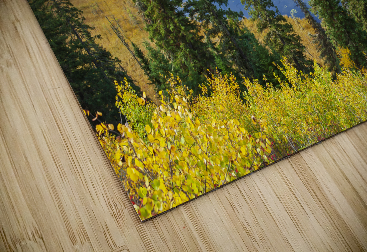 Boggy Lake Dave Reede Photohgraphy Puzzle