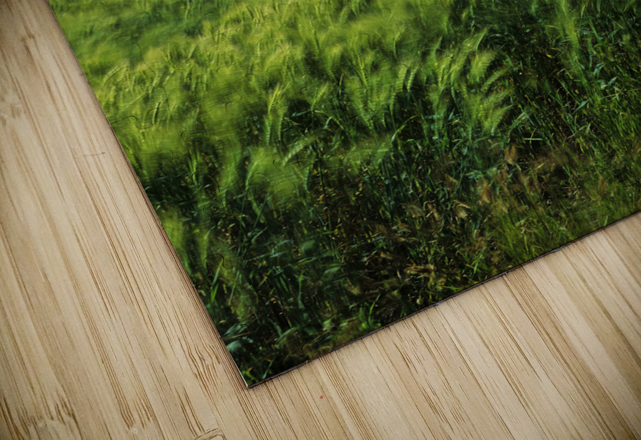 Abandoned Farm Dave Reede Photohgraphy Puzzle