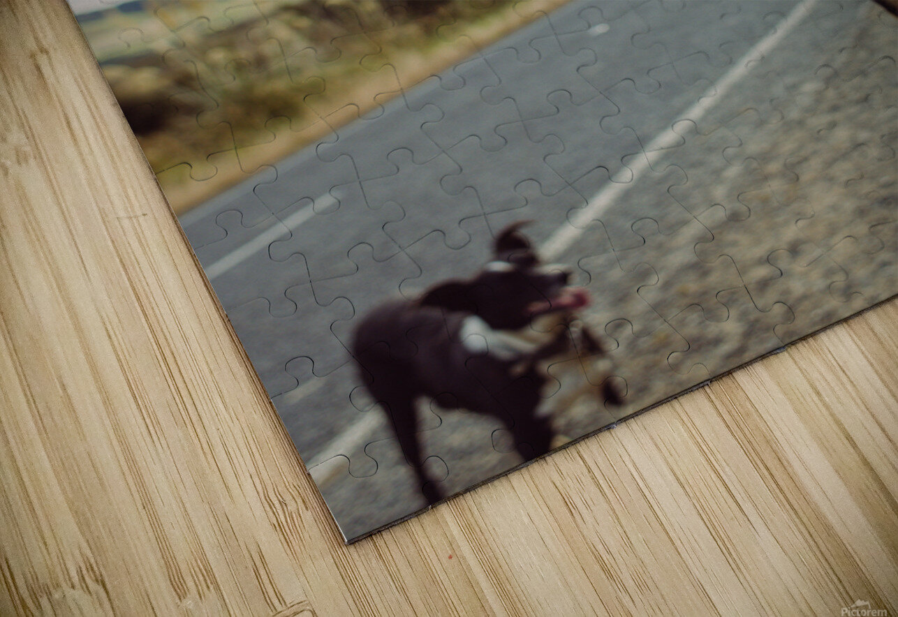 Chief Lauren Maria Photo   Films Puzzle