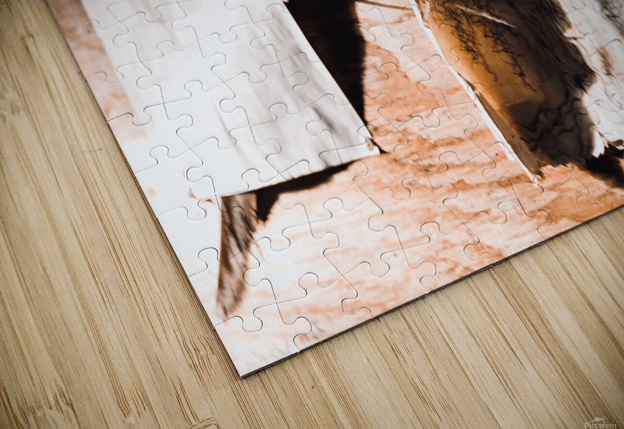 EOS 9541 copy Cyrus Matheson Puzzle