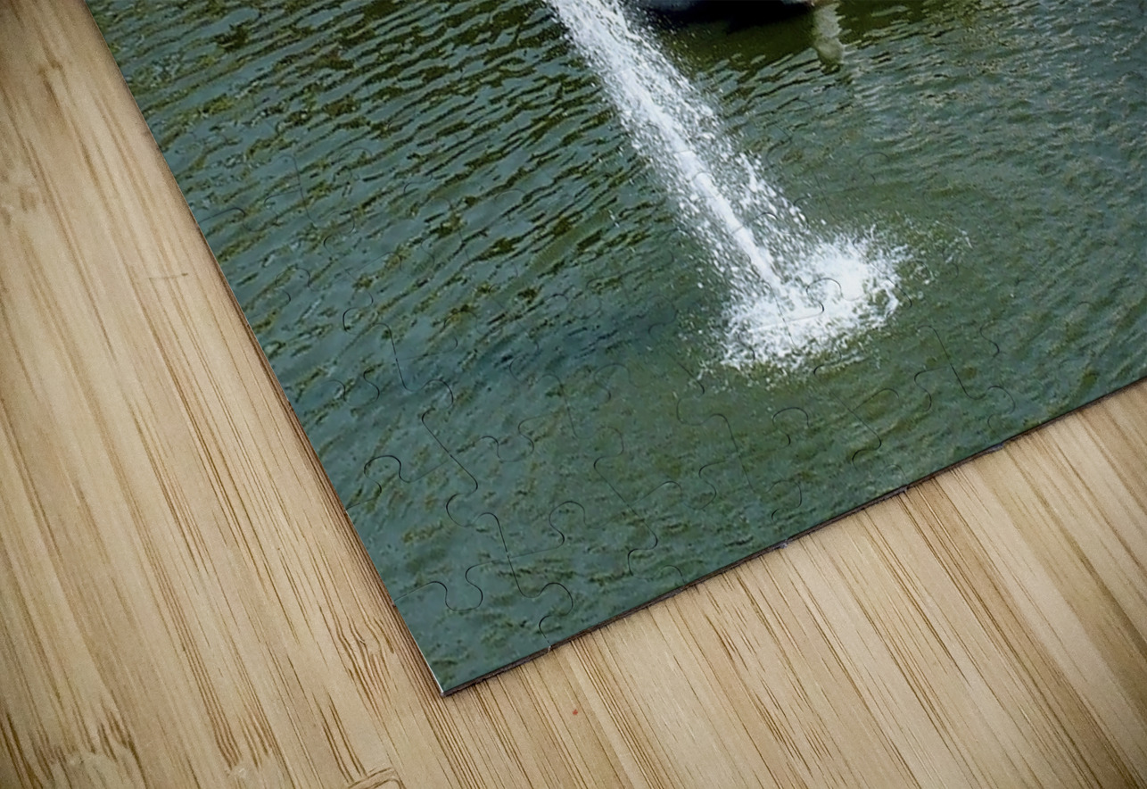 China-FG - Nansha Phoenix Lake Park  12 Clement Tsang Puzzle