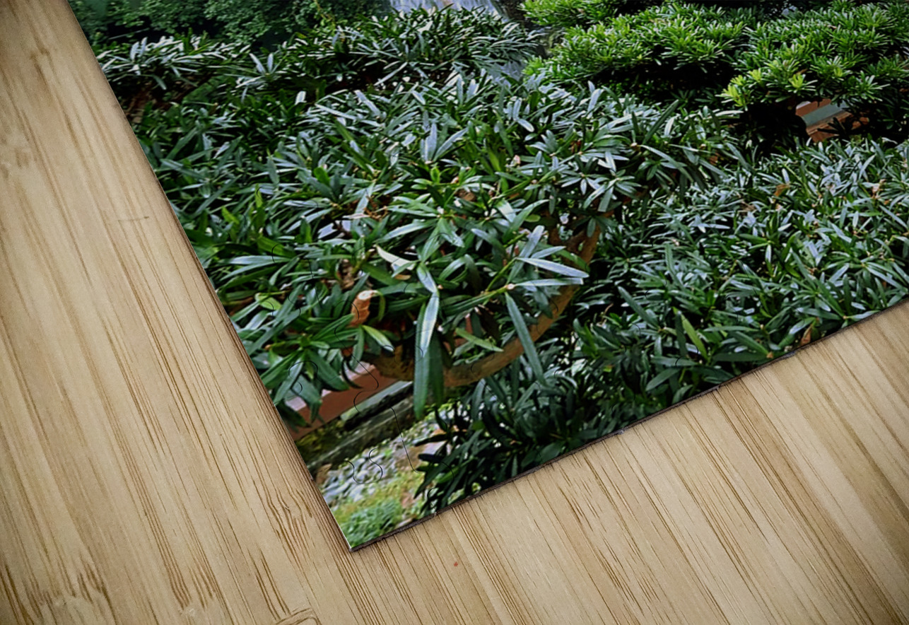 Hong Kong-NP - The famous Temple Garden 15 Clement Tsang Puzzle