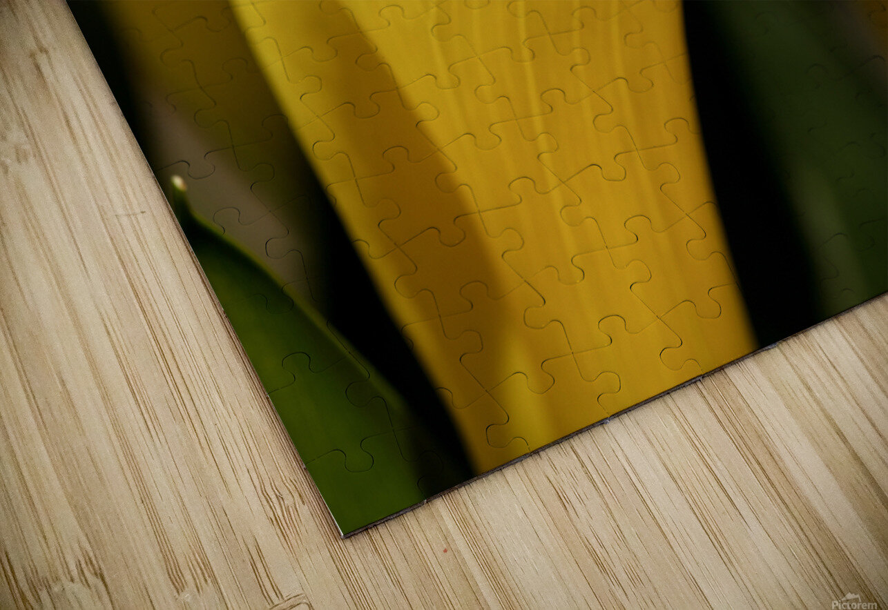 Yellow Calla Lilies R Natale Photography Puzzle