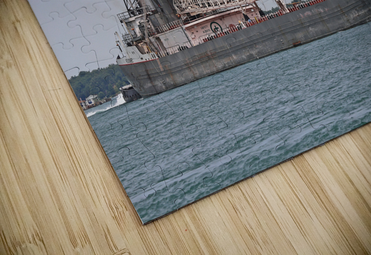 Menominee and Olive L Moore 070819 Mary Bedy Puzzle