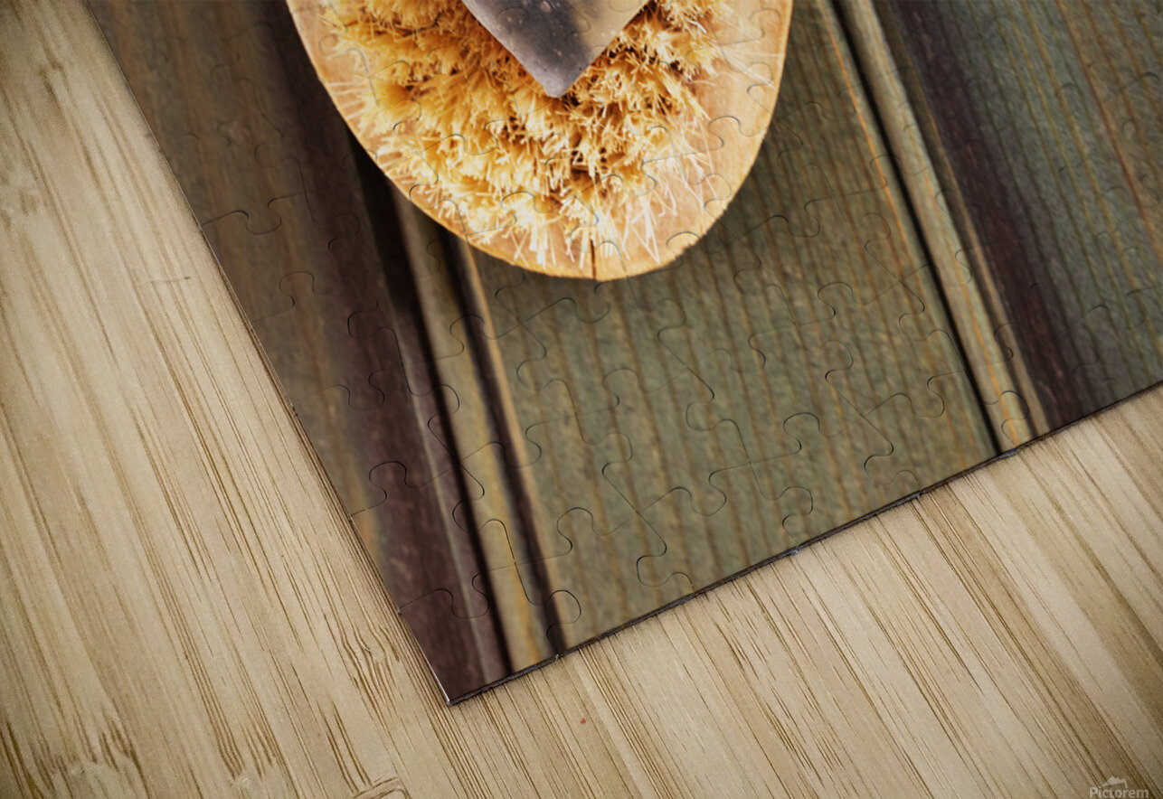 Soap bar and bristle brush victimewalker Puzzle