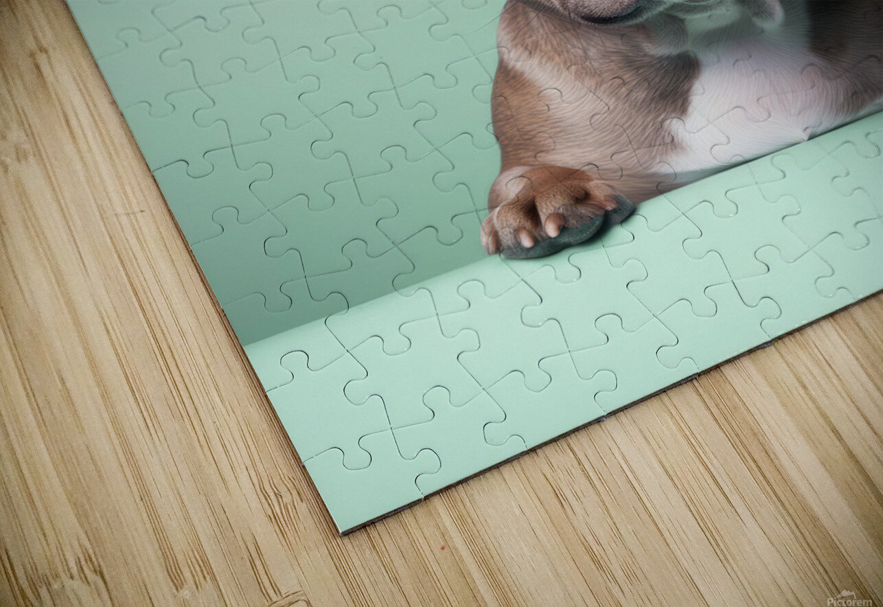 QAN 063 – Fashionable Frenchie Masterwork Reimagined Puzzle