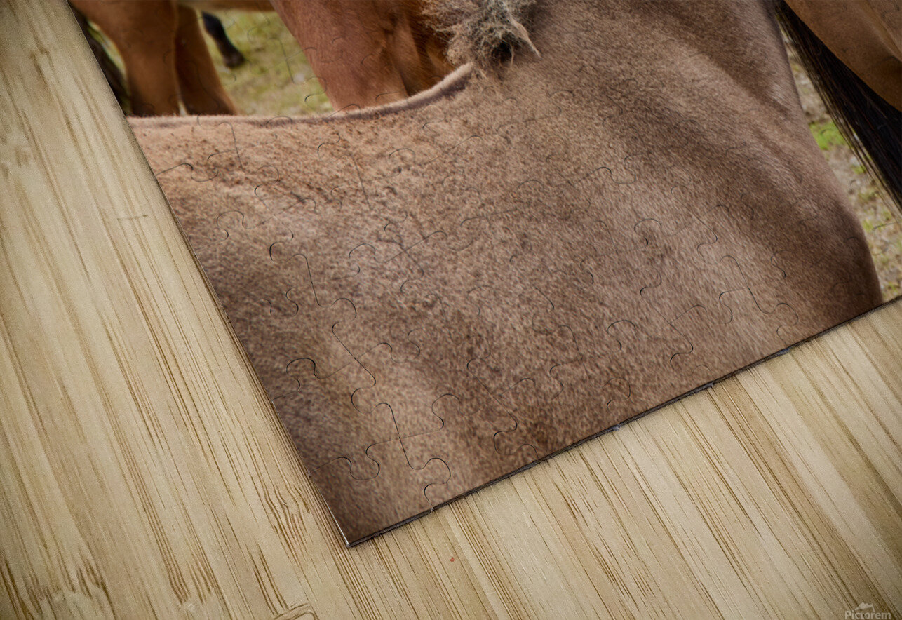 Icelandic horses grazing in a pasture. Artur Nyk Puzzle