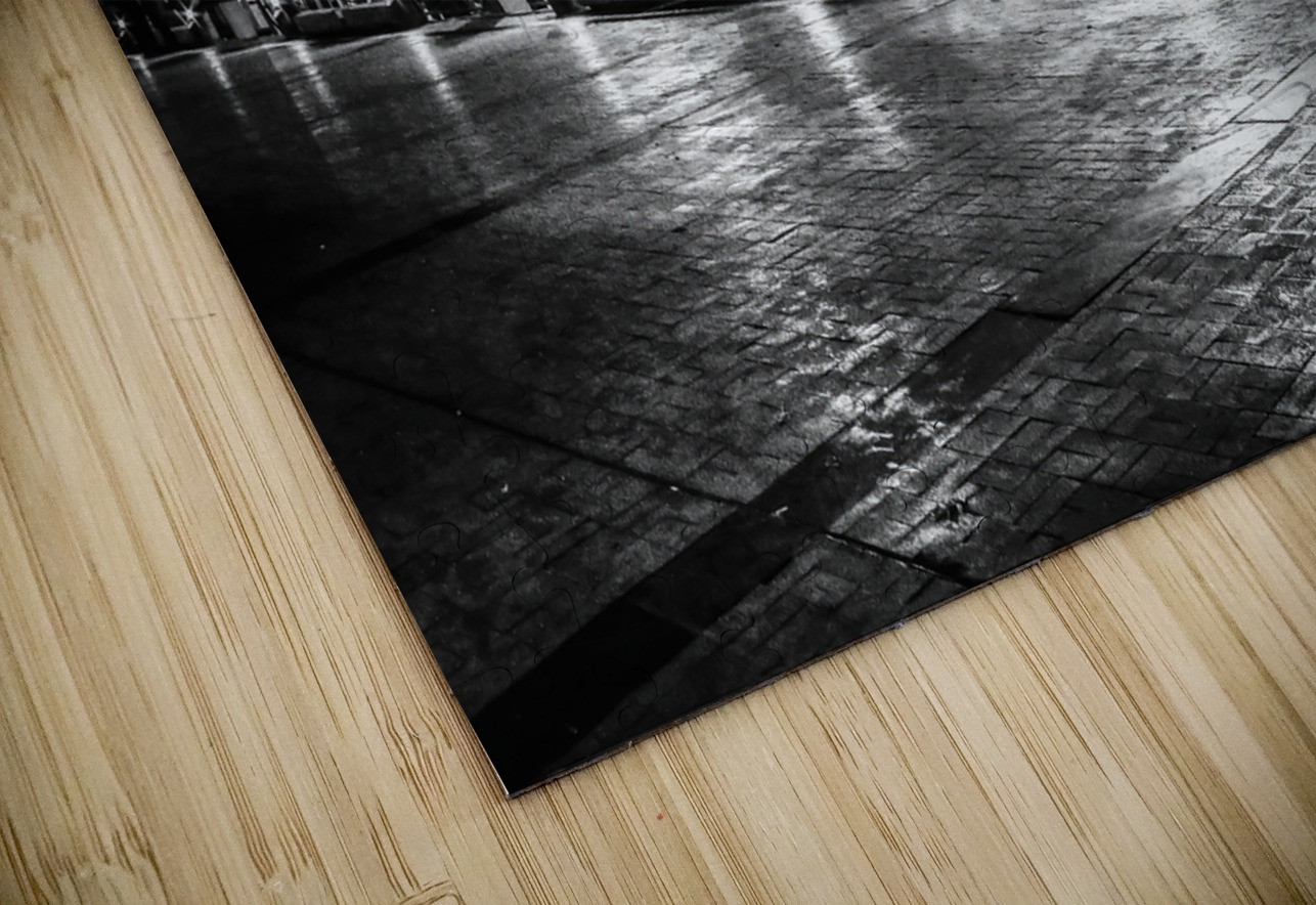 Georgia Queen at Historic Savannah Georgia Shelia Hunt Photography Puzzle