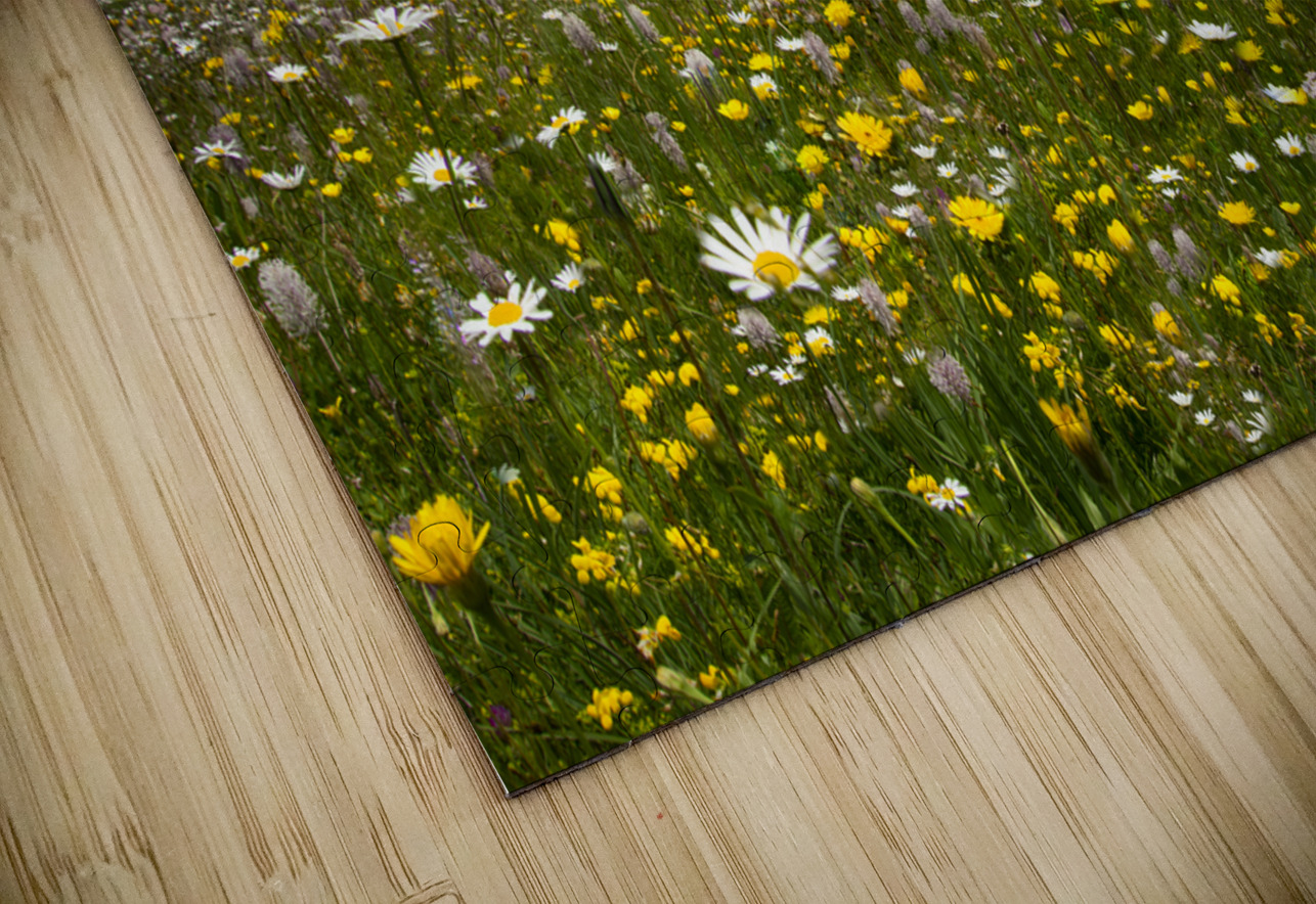 Dolomite Wild Flower Heaven Norma Brandsberg Photography Puzzle