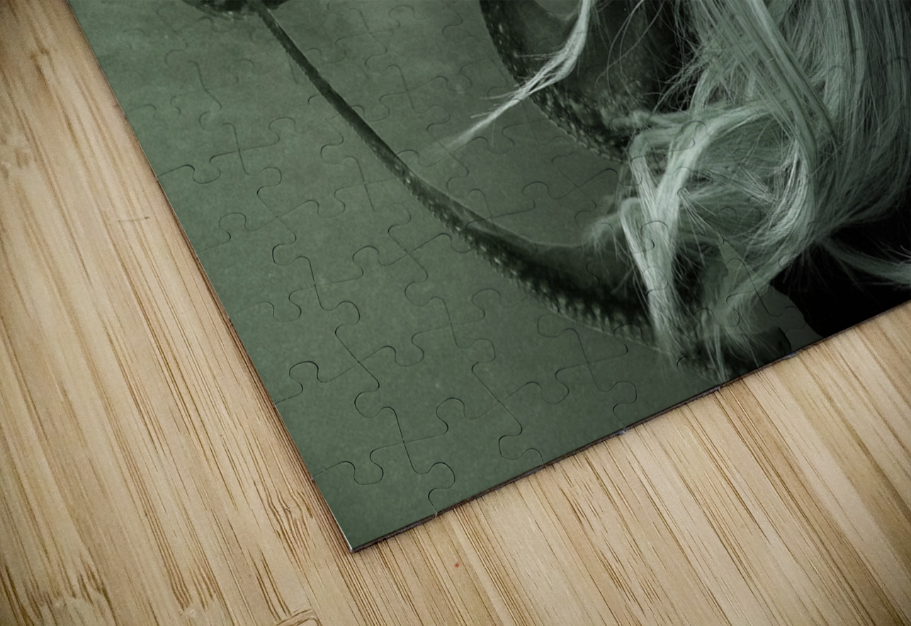 QGF 003 – double exposure octopus Masterwork Reimagined Puzzle