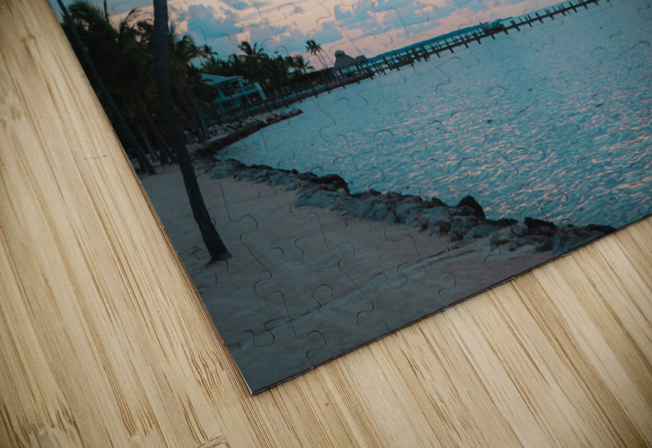 Cheeca Palm Coastal Palms Media Puzzle