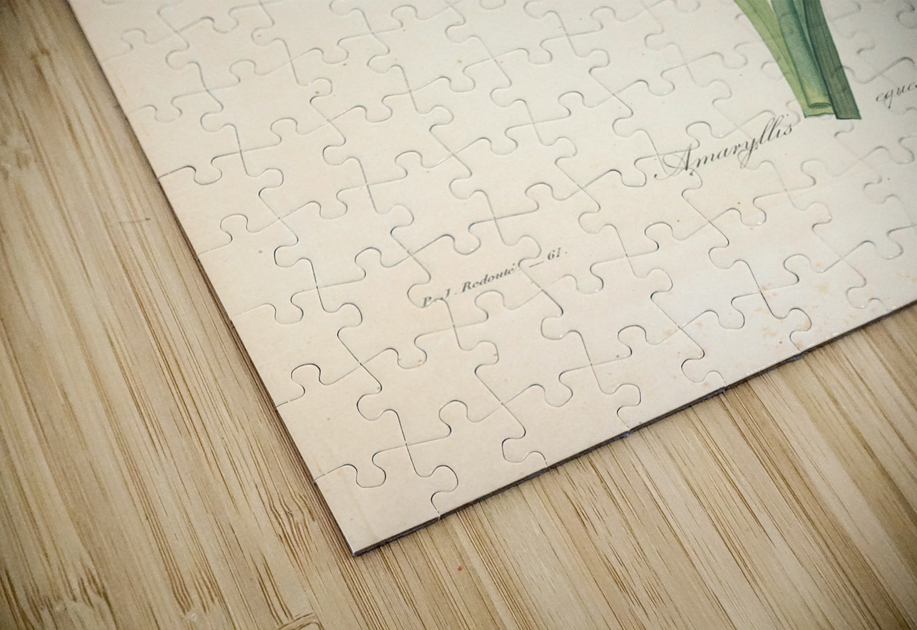 QVT 1088 – Vintage Floral Illustration French.j Masterwork Reimagined Puzzle