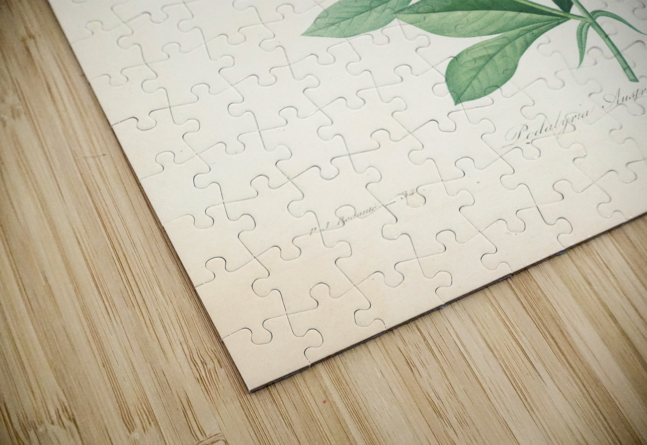 QVT 1085 – Vintage Floral Illustration French.j Masterwork Reimagined Puzzle