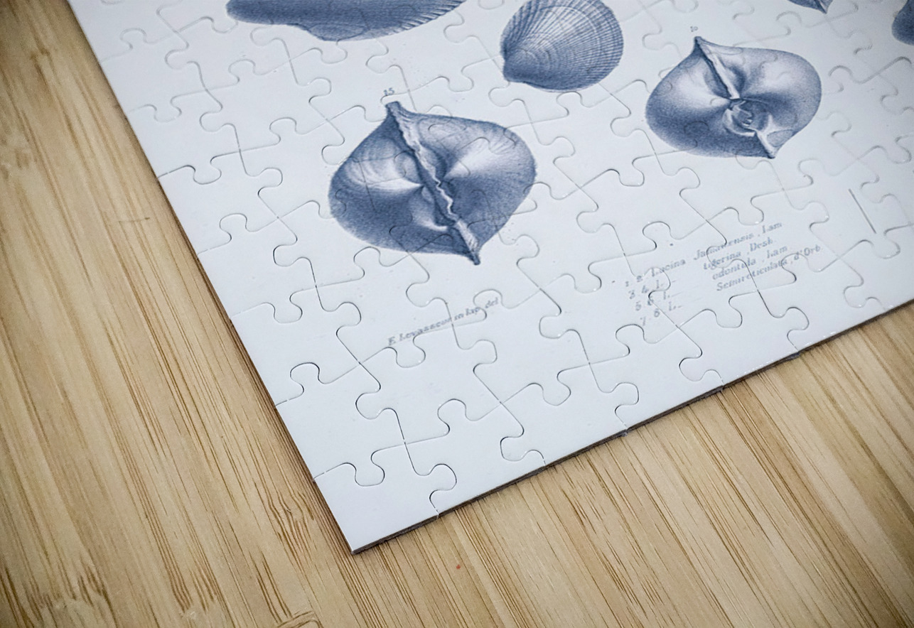 QVT 1035 – Vintage Nautical Sea Creatures and S Masterwork Reimagined Puzzle