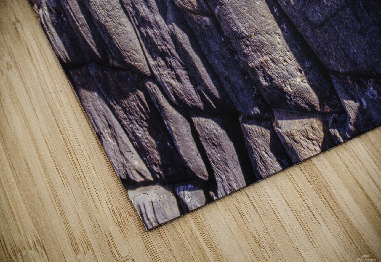 Civilization Connor Kim Puzzle