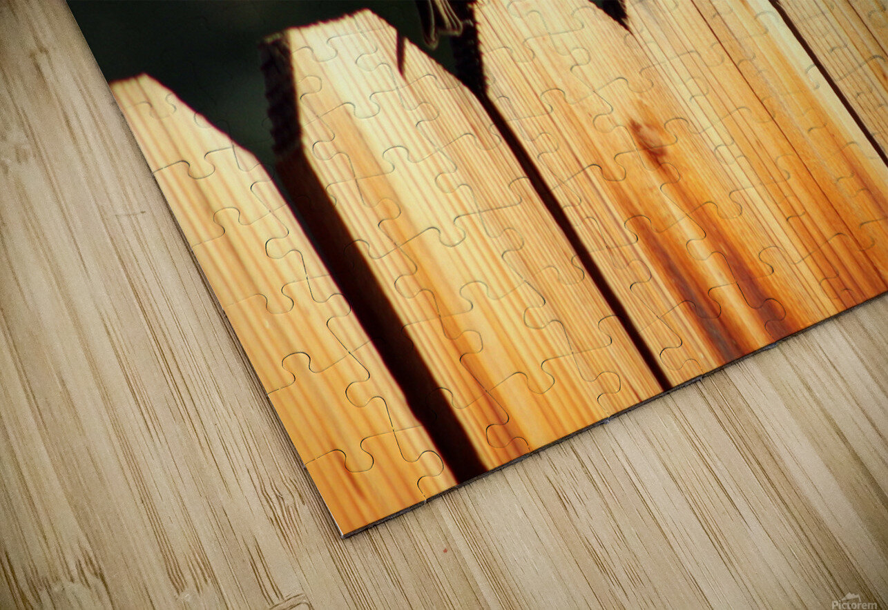 Sparrows on a Fence Photography and Digital Art By Colleen Puzzle