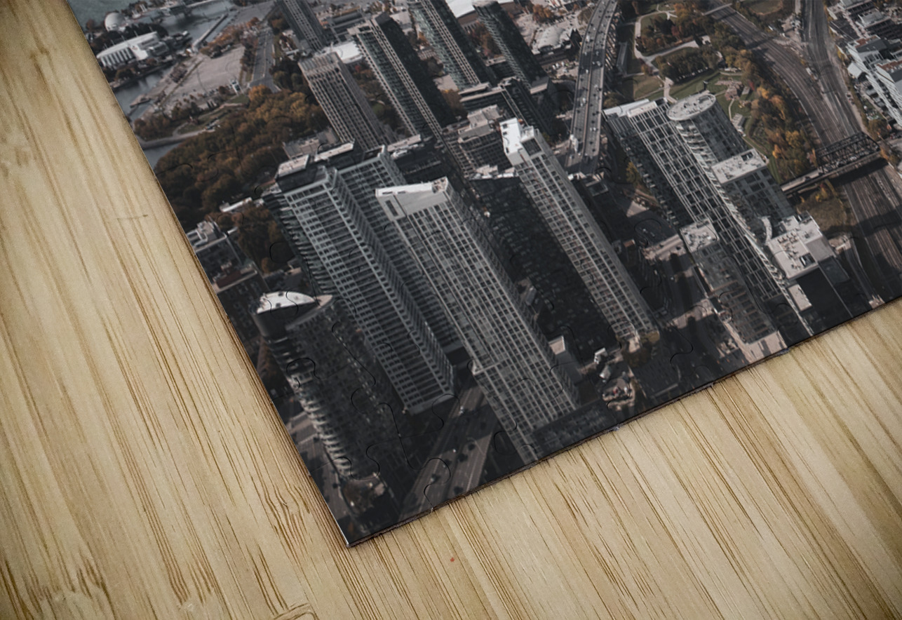 Toronto SkylineCanada Ivy Rose Photography Puzzle