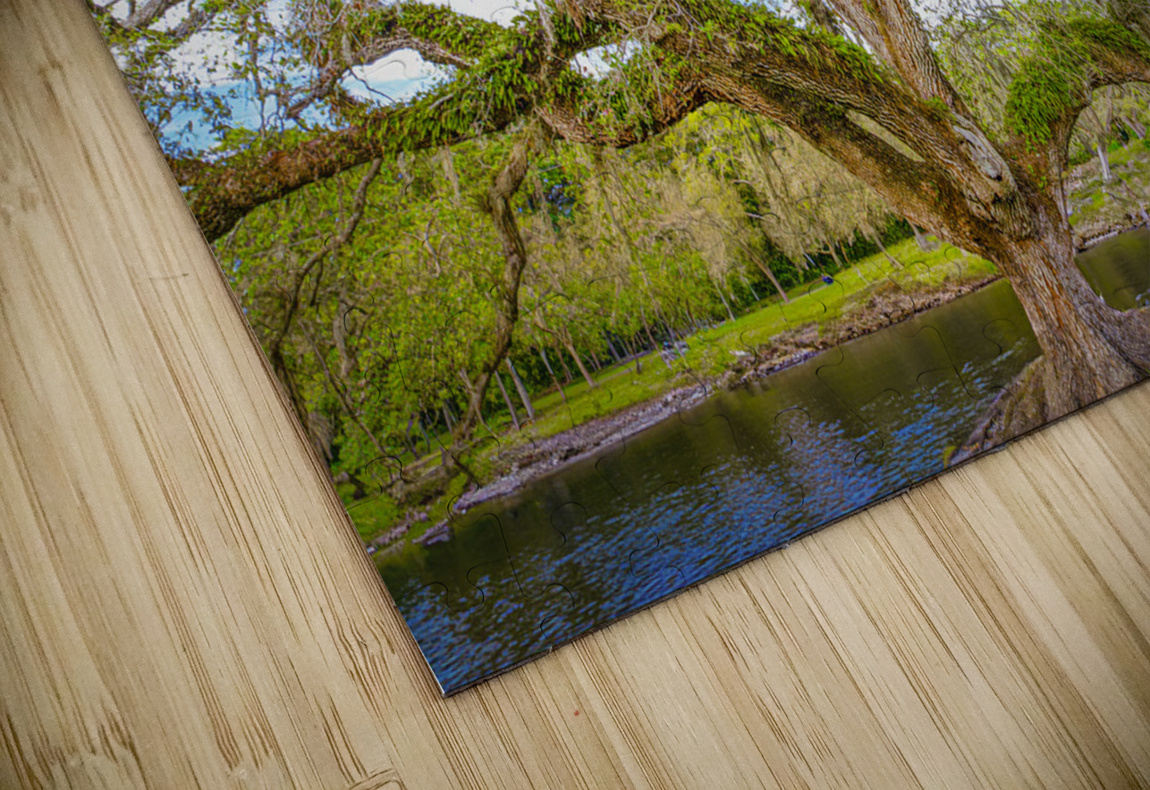 Live Oak Tree Visual Voyages Fine Art Puzzle