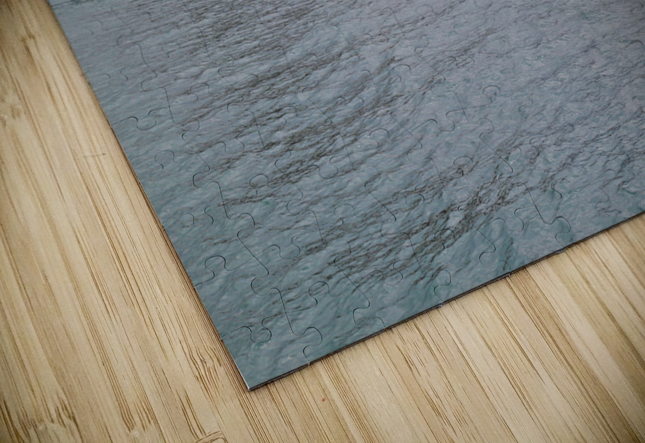 Salarium 1 Mary Bedy Puzzle