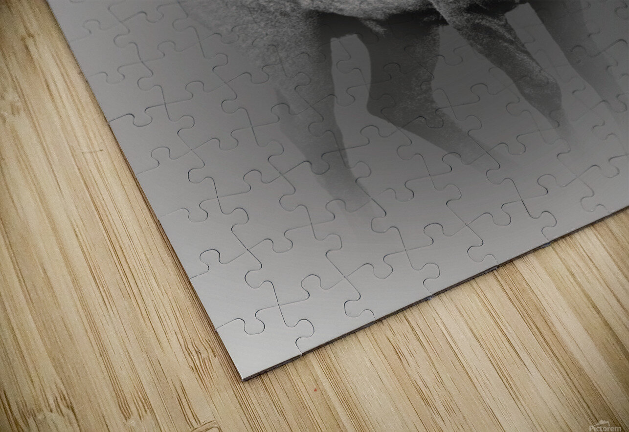 Defend B Zolle Puzzle