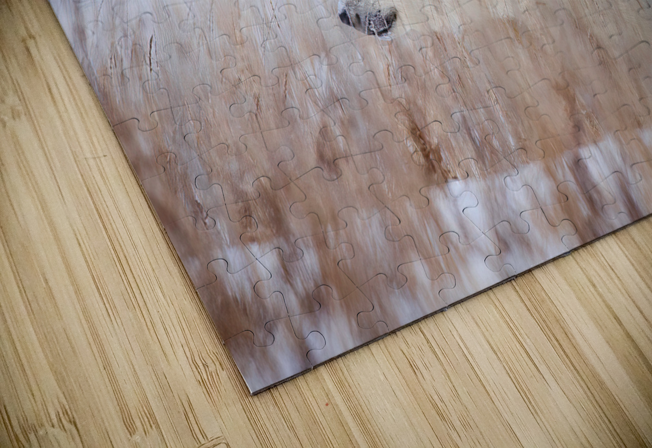 Tundra Breeze Johnny Hayward Puzzle