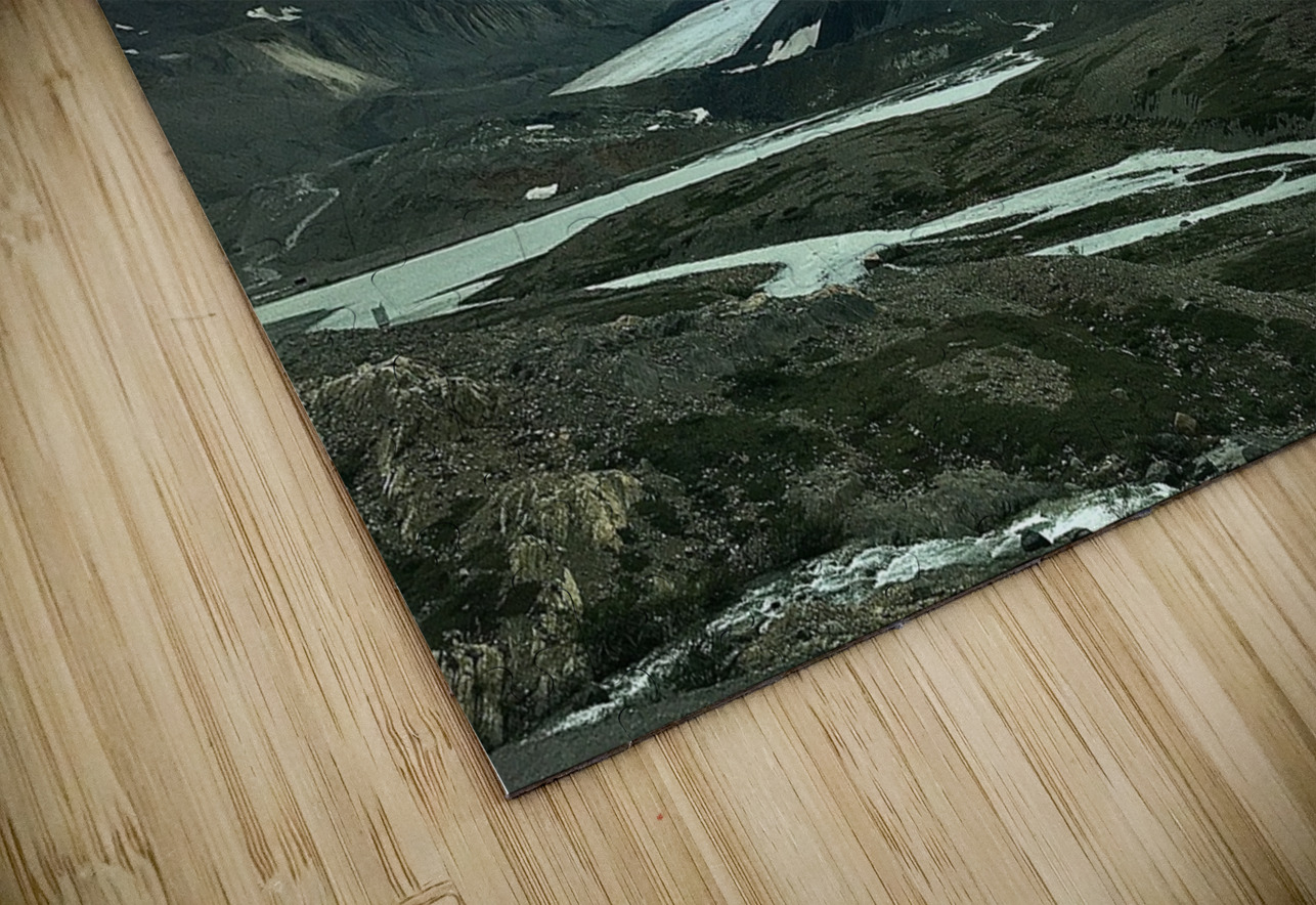 Chilly Blue Raspberry Rose Photos by Pip KImberley Puzzle