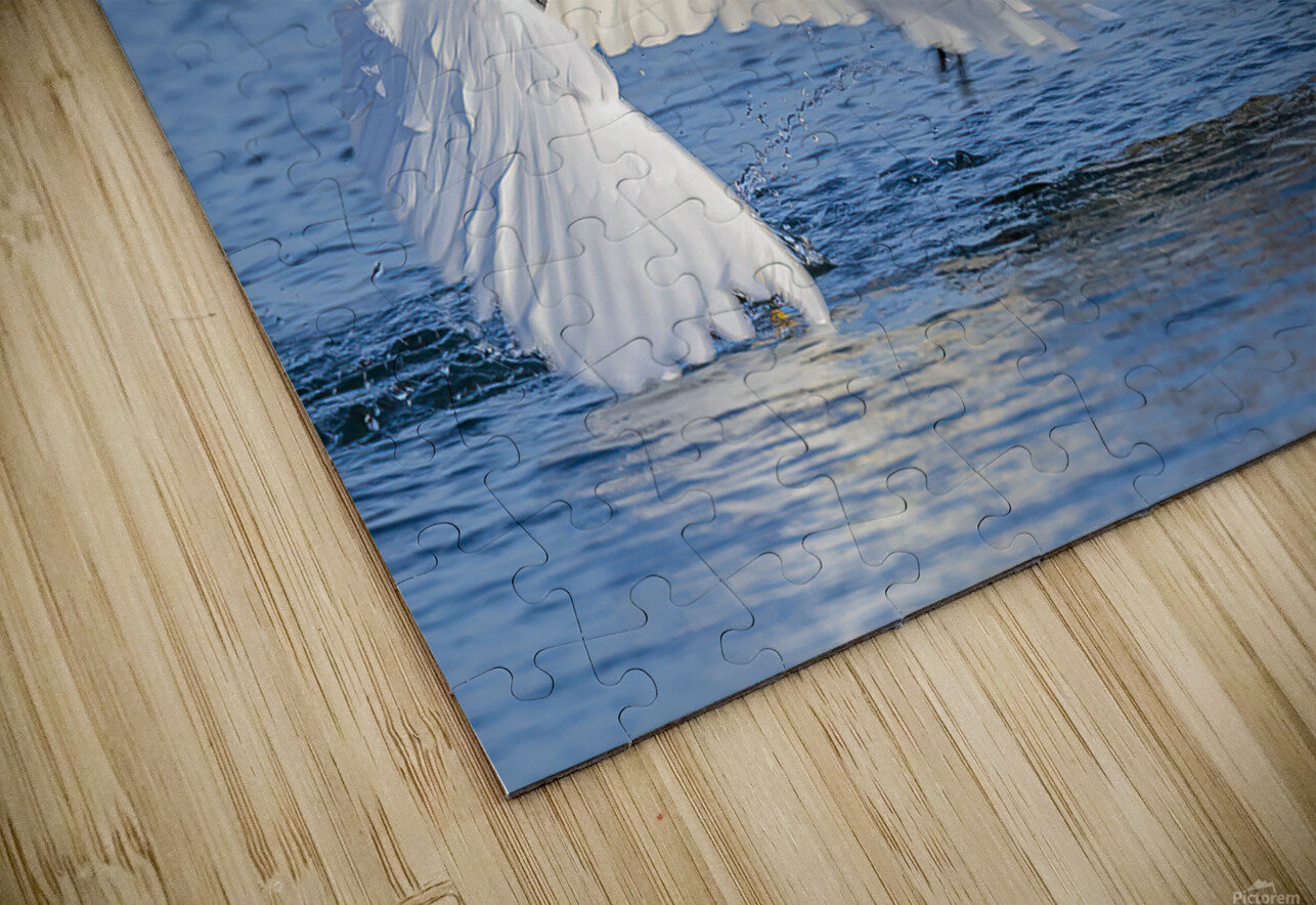 ..Set..Go! RJLaBellaPhotos Puzzle