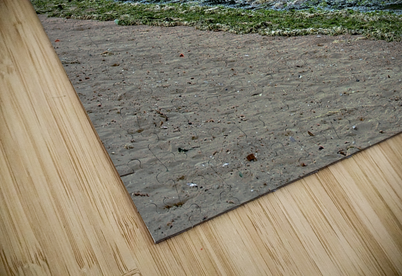 HK-FV-The Seaweed along the seaside at Cheung Chau 02 Clement Tsang Puzzle