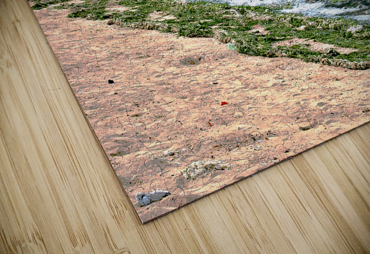 HK-FV-The Seaweed along the seaside at Cheung Chau 01 Clement Tsang Puzzle