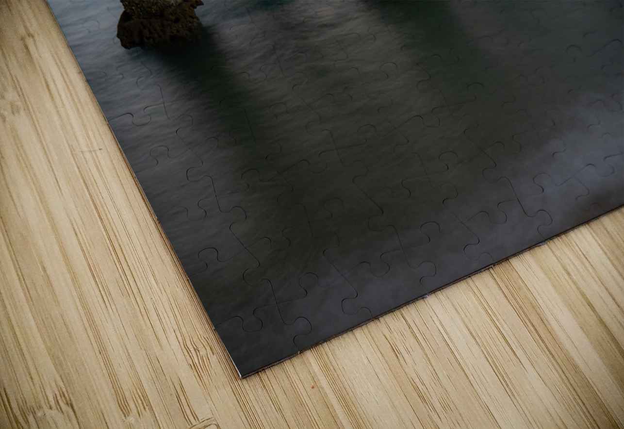 01242023 misc 1573 Enhanced NR Susan Lynn Cooke Puzzle