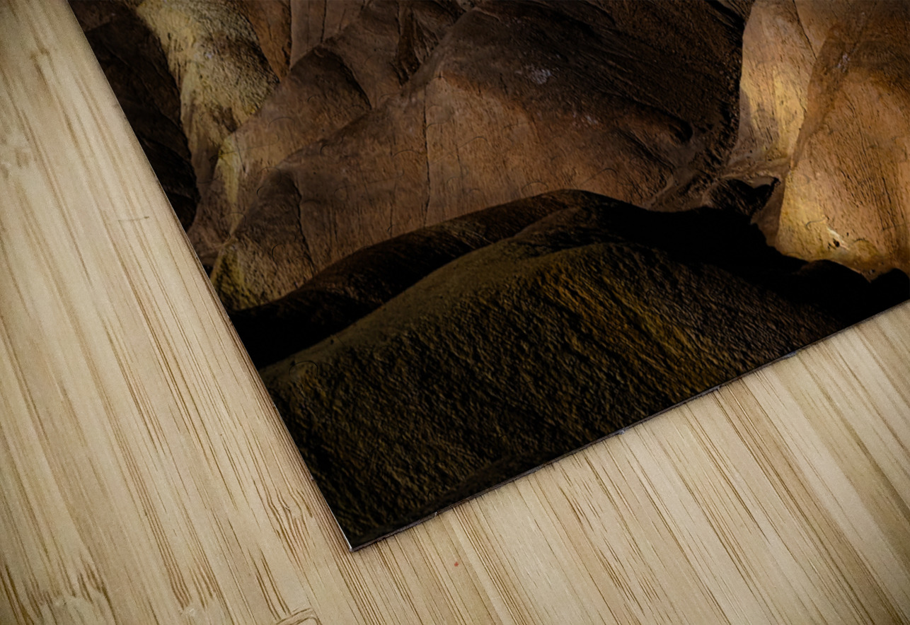 BZ9 0076 Susan Lynn Cooke Puzzle