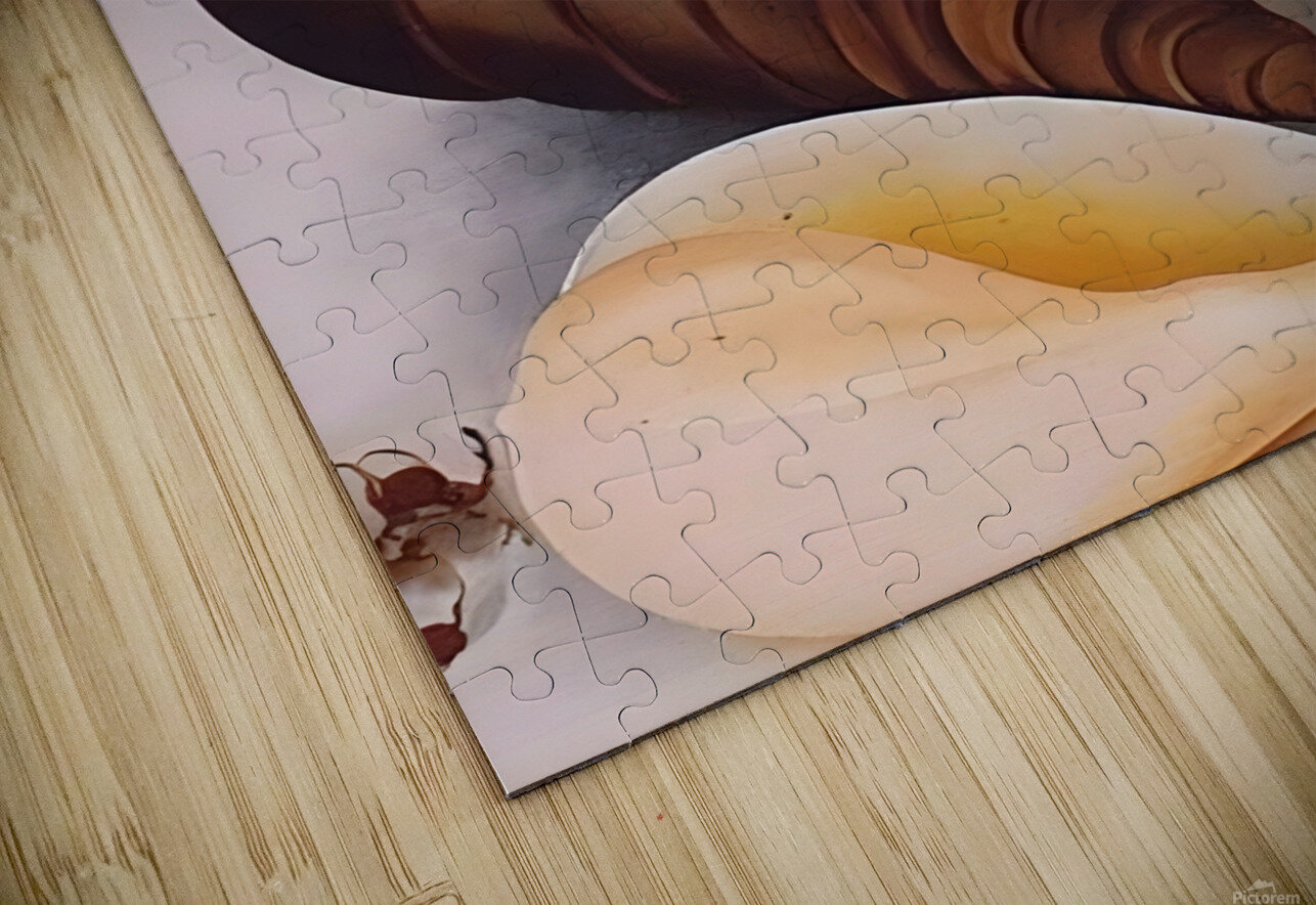 Georgia OKeeffe - Two White Shells One Black Shell William Store Puzzle