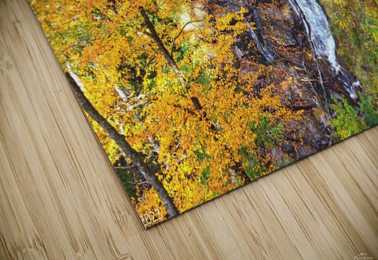 Beechbottom Falls Pickens County South Carolina  Lisa Wooten Photography Puzzle