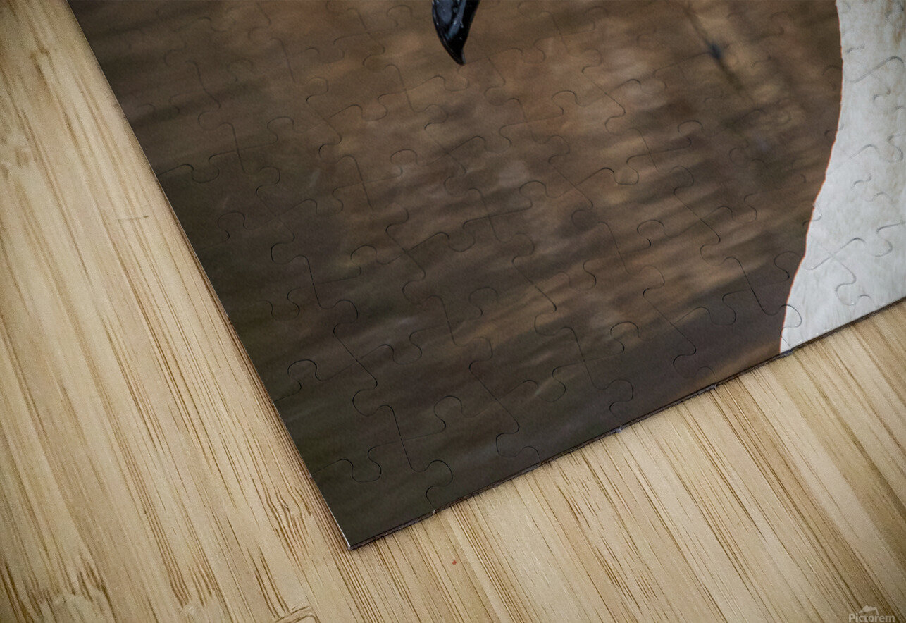 Trumpeter Swan Portrait Chad Meyer Puzzle