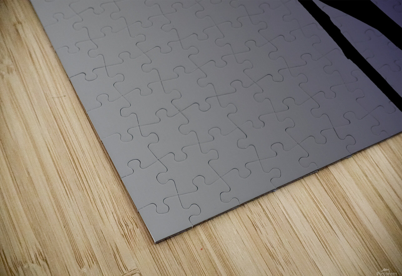 Mockingbird Silhouette on Steel Blue Photography and Digital Art By Colleen Puzzle