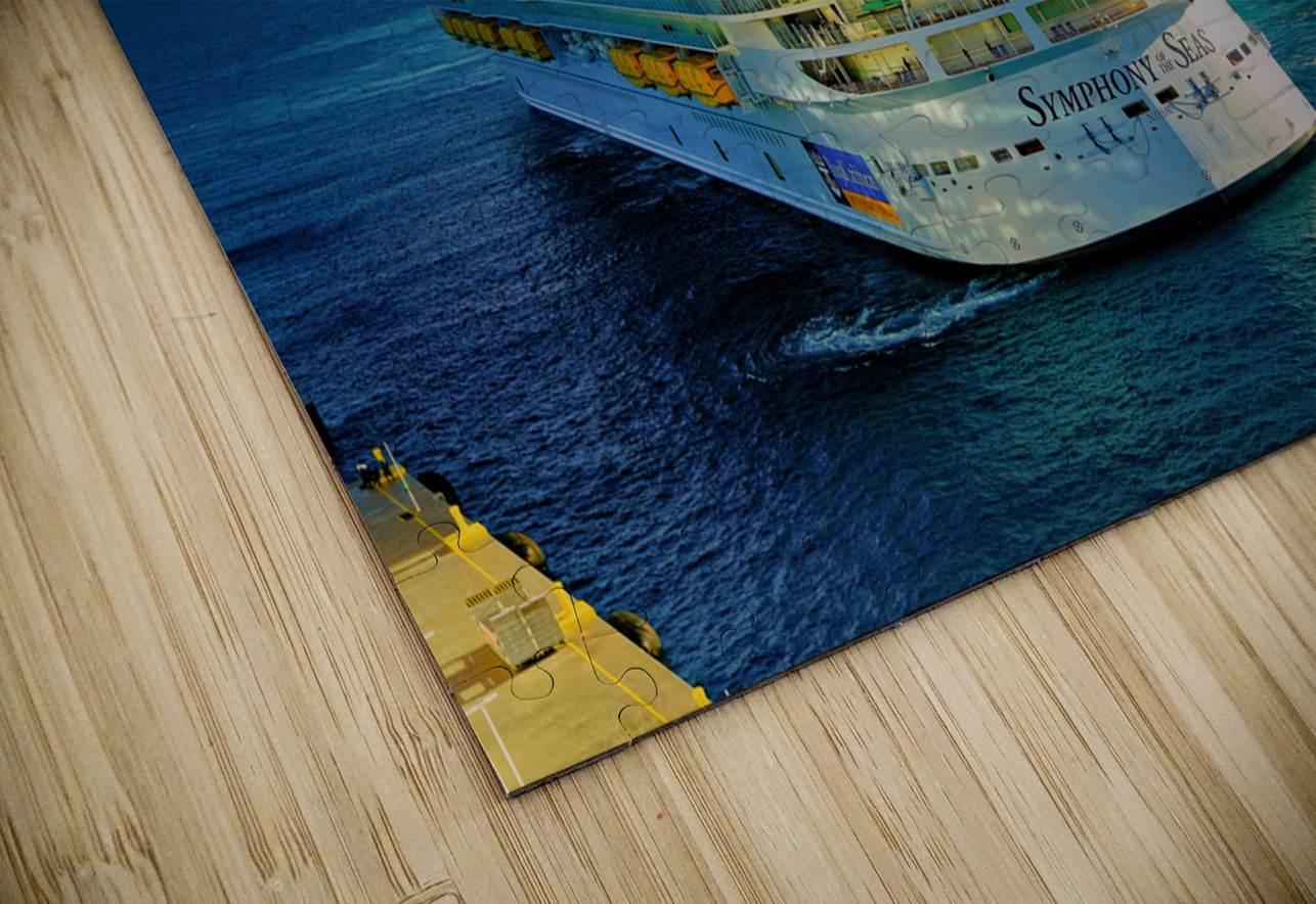 Symphony of the Seas Leaving CocoCay Darryl Brooks Puzzle