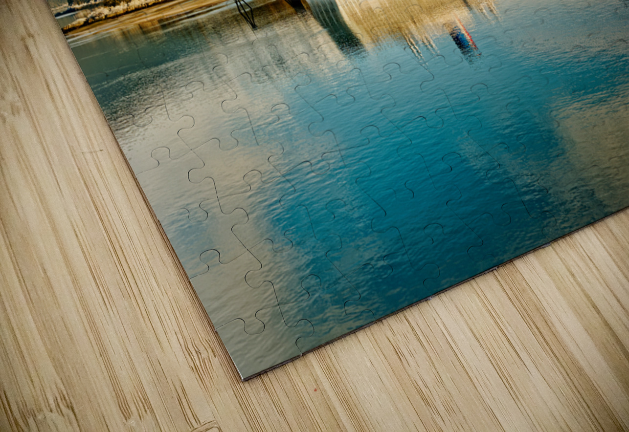 Cruise Ship in Juneau Alaska Darryl Brooks Puzzle