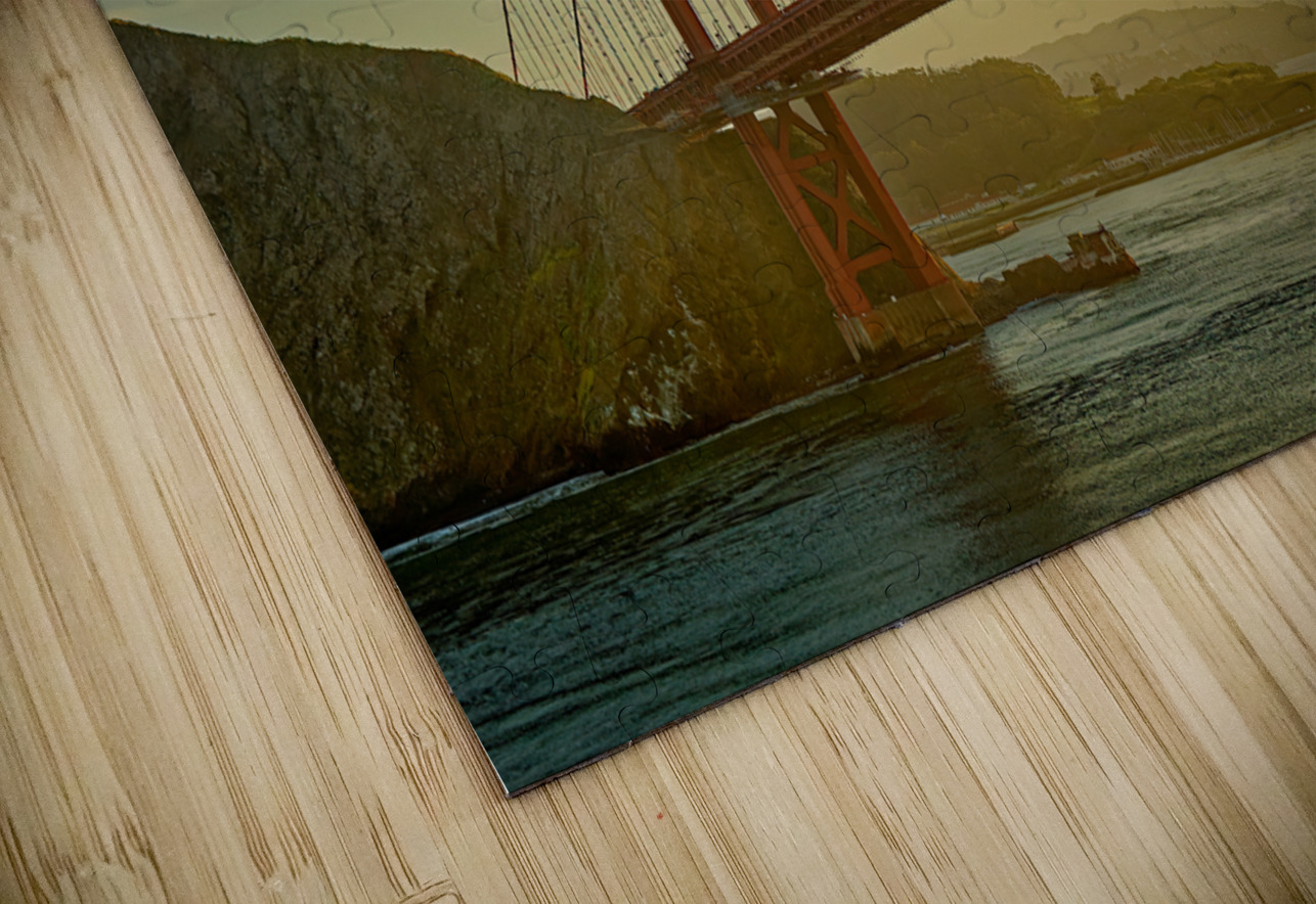 Cruise Ship in Juneau Alaska Darryl Brooks Puzzle