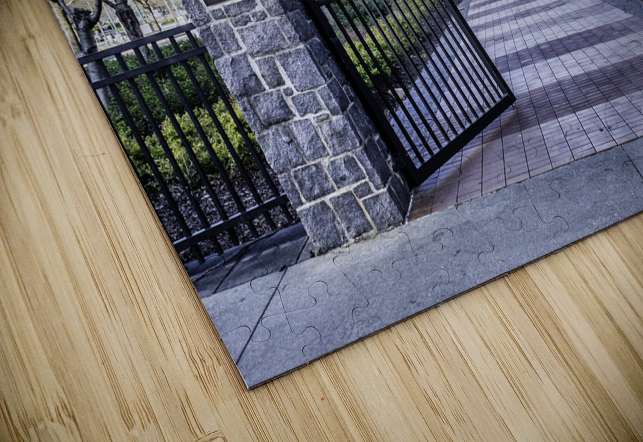 Gate to Olympic Centennieal Park Darryl Brooks Puzzle