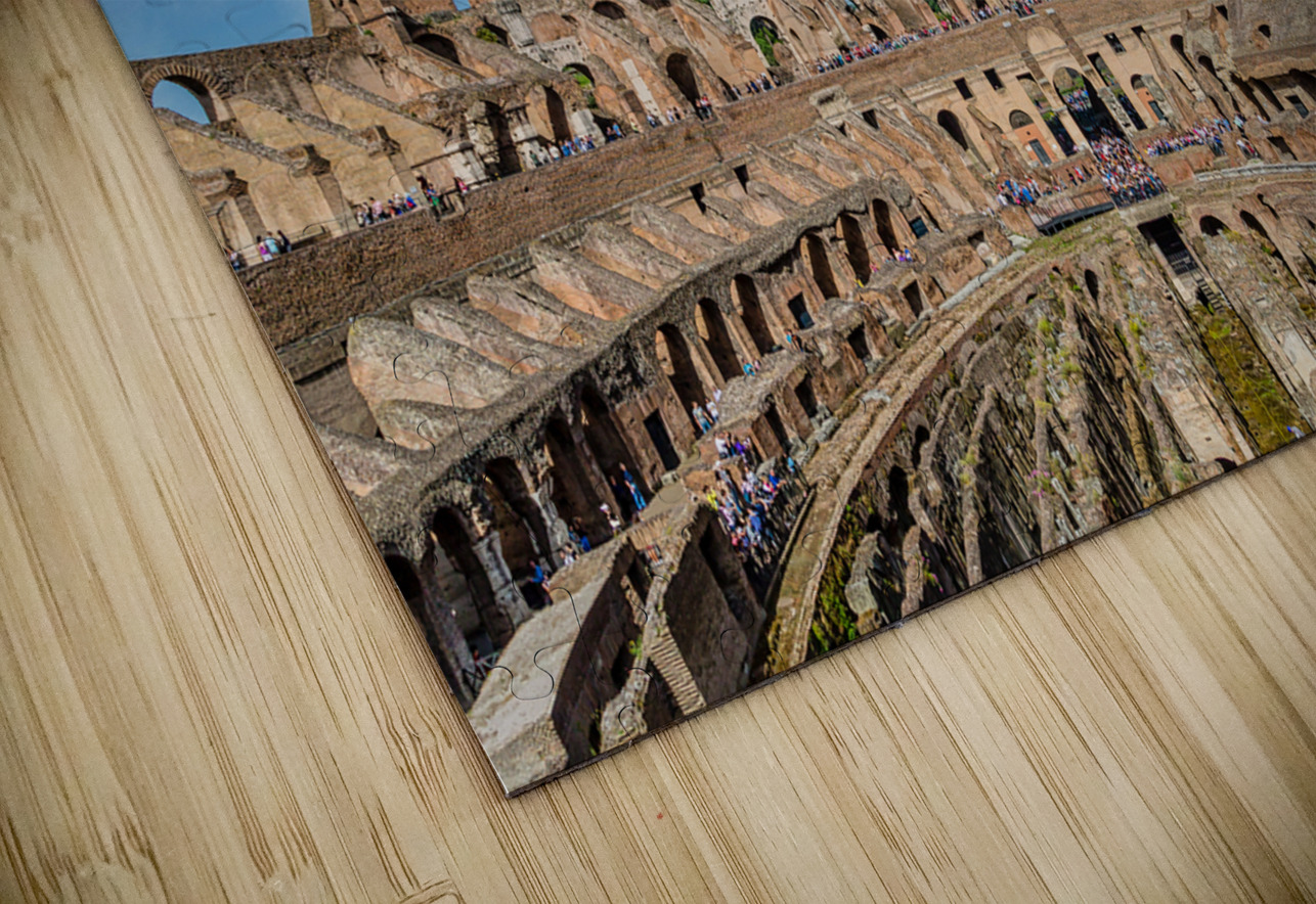 Roman Coloseum with Many Tourist Darryl Brooks Puzzle