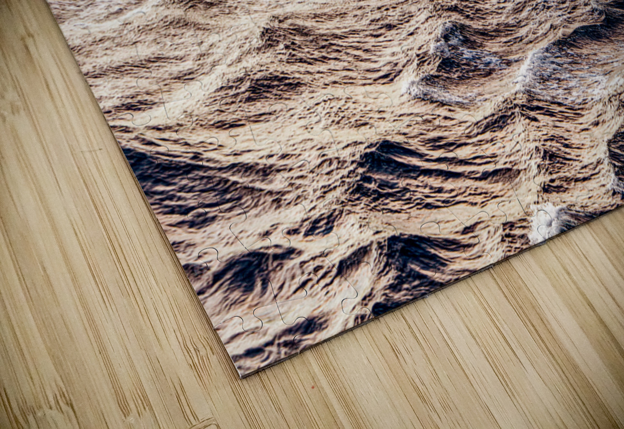 Pilot Boat with Cruise Ship Leaving Roatan Darryl Brooks Puzzle