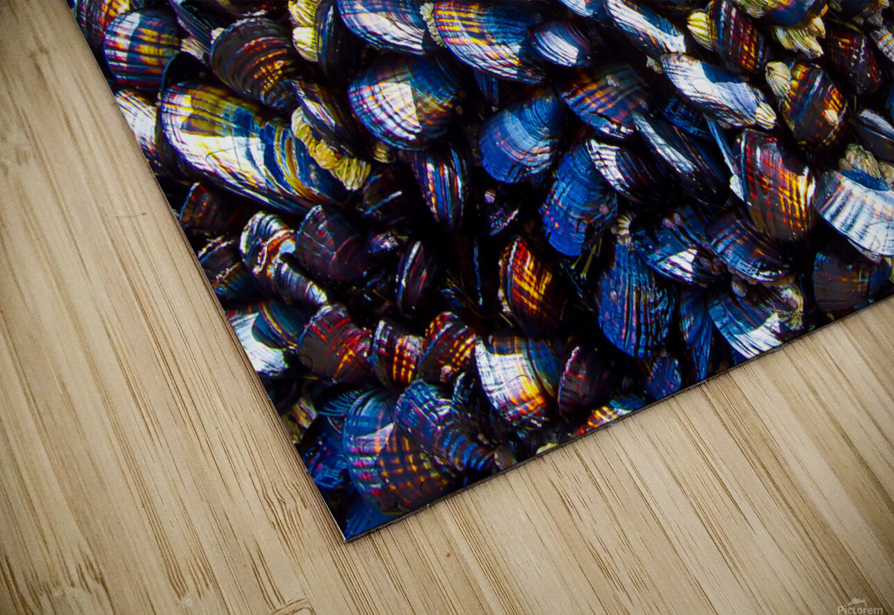 Mussels Venice Beach California Tony Lacroix Puzzle