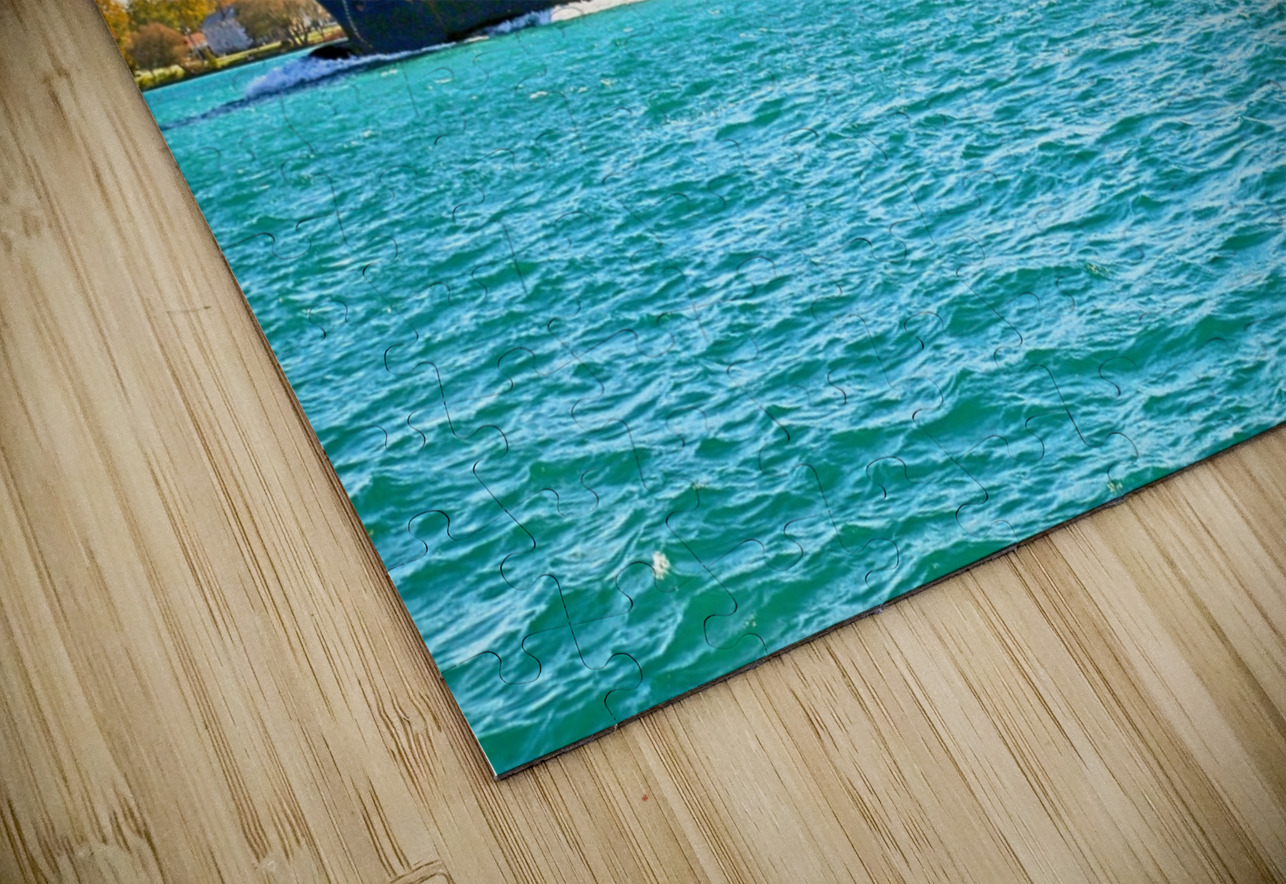 Algonova 1 Mary Bedy Puzzle