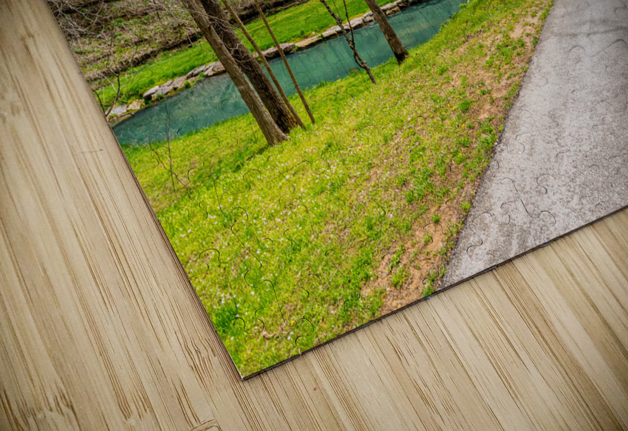 Walking Path On Spring Season Day Jennifer White Puzzle