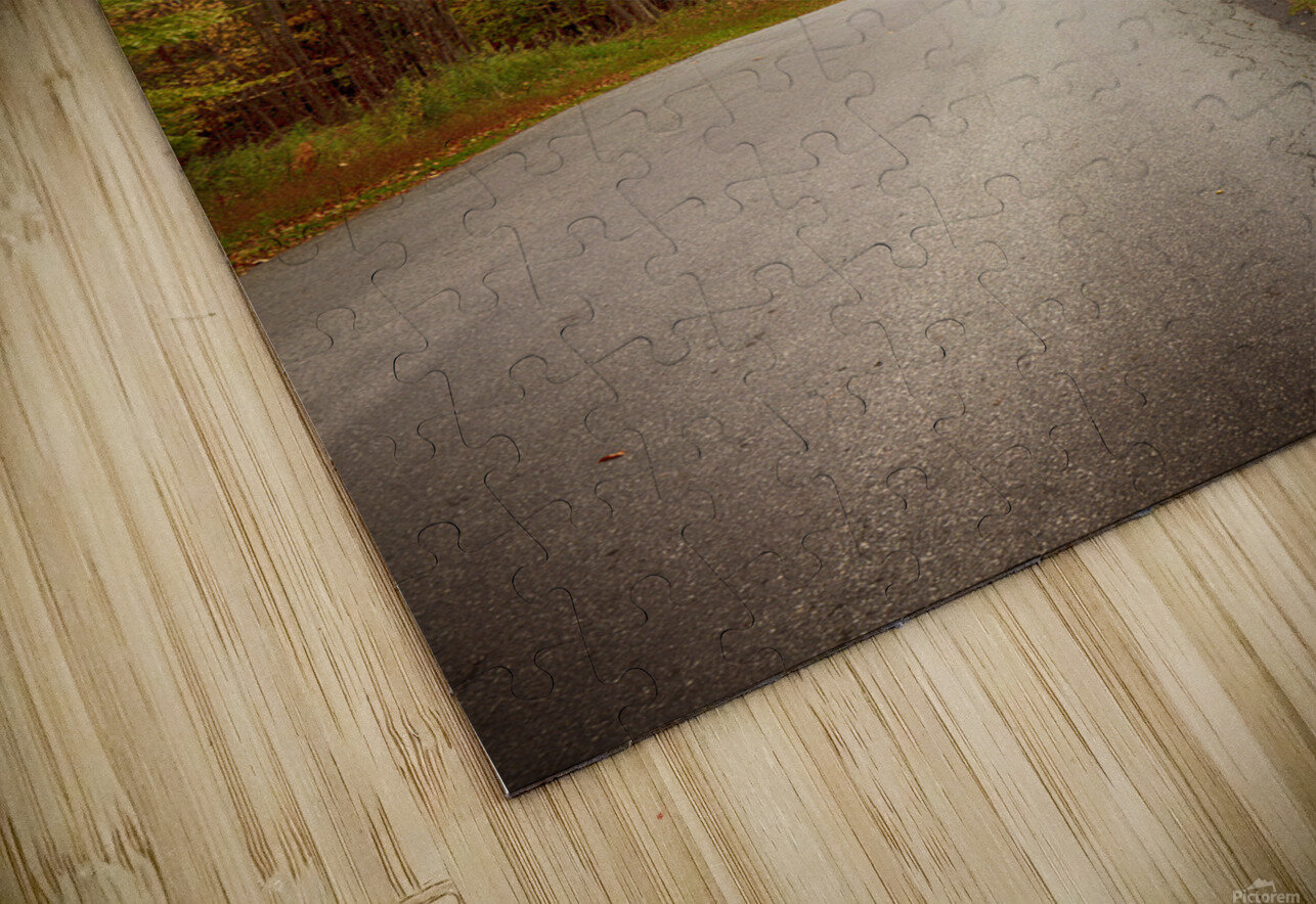 Tranquil Autumn Roads Sullivan County NY R Natale Photography Puzzle