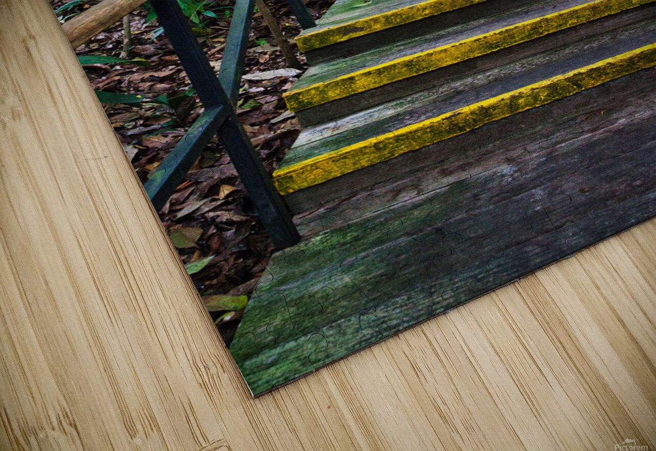 Path Through the Green Singapore AM Productions Puzzle