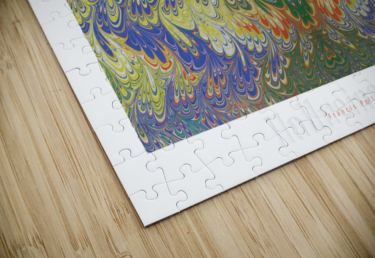 HALLUCINATION 7 Francis Pelletier Puzzle